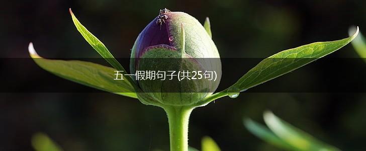 五一假期句子(共25句),第1张