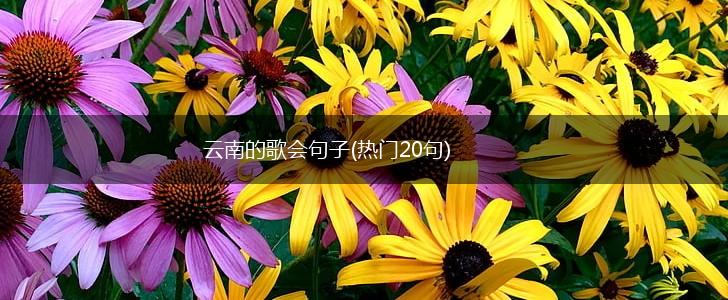 云南的歌会句子(热门20句),第1张