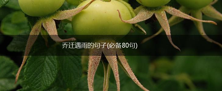 乔迁遇雨的句子(必备80句),第1张
