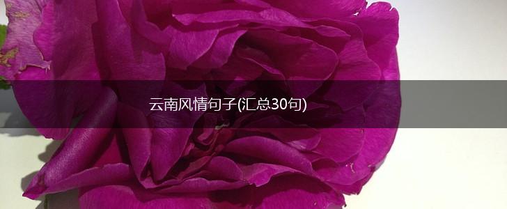 云南风情句子(汇总30句),第1张