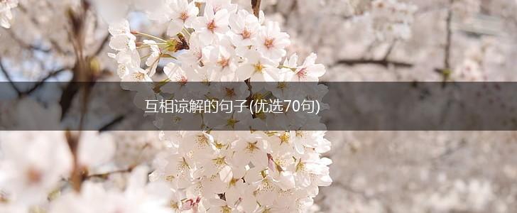 互相谅解的句子(优选70句),第1张