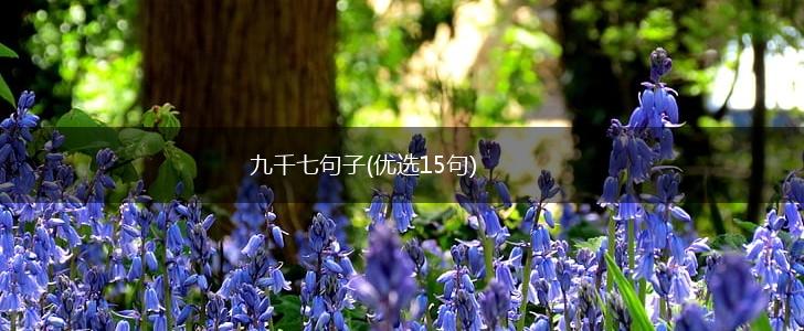 九千七句子(优选15句),第1张