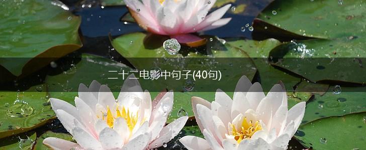 二十二电影中句子(40句),第1张