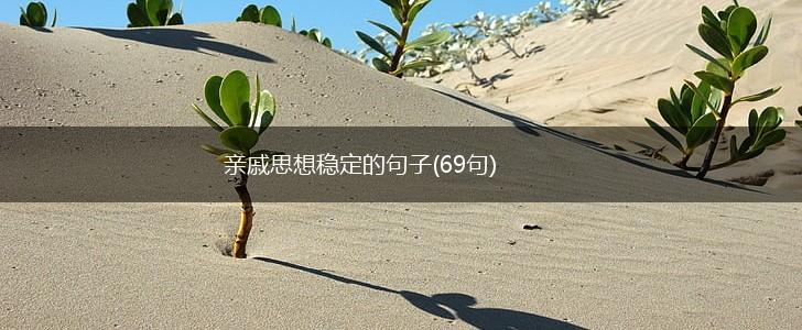 亲戚思想稳定的句子(69句),第1张