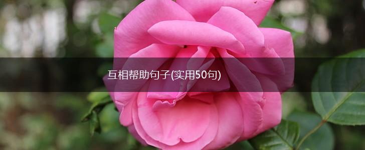 互相帮助句子(实用50句),第1张