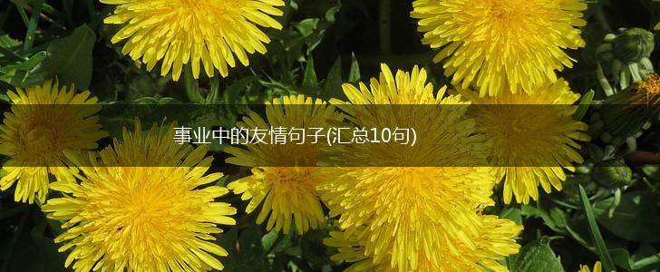事业中的友情句子(汇总10句),第1张
