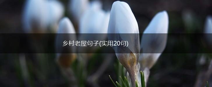 乡村老屋句子(实用20句),第1张