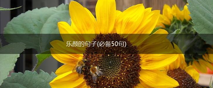 乐颜的句子(必备50句),第1张