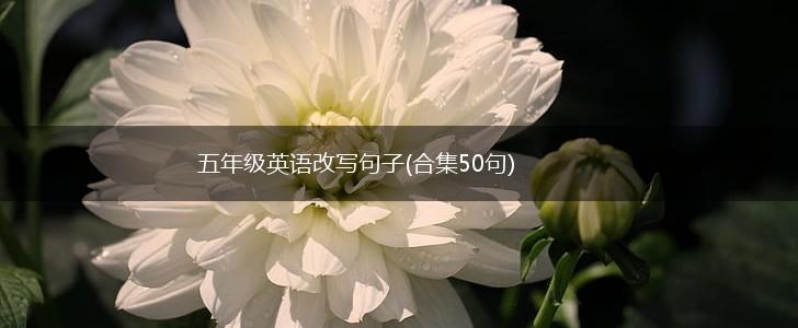 五年级英语改写句子(合集50句),第1张