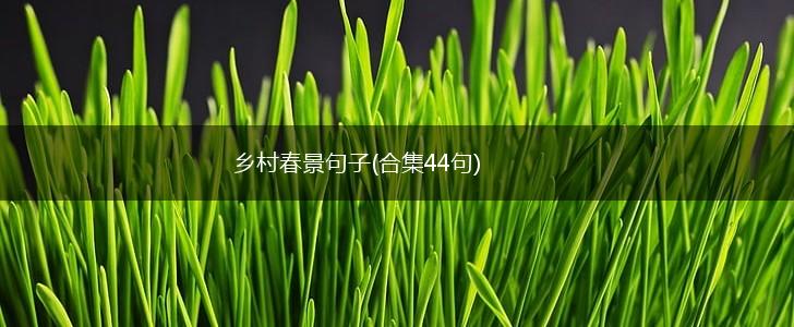 乡村春景句子(合集44句),第1张