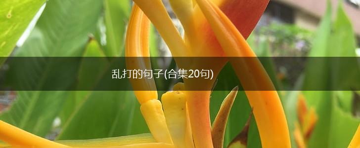 乱打的句子(合集20句),第1张
