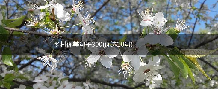 乡村优美句子300(优选10句),第1张
