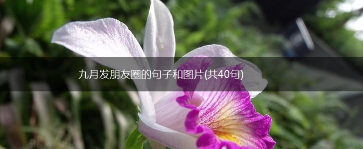 九月发朋友圈的句子和图片(共40句),第1张