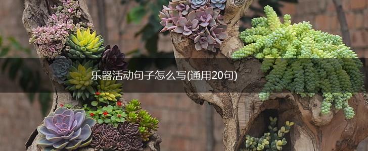 乐器活动句子怎么写(通用20句),第1张