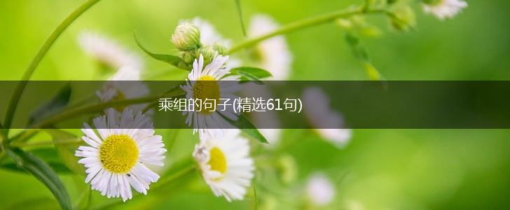 乘组的句子(精选61句),第1张