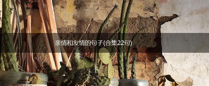 亲情和友情的句子(合集22句),第1张