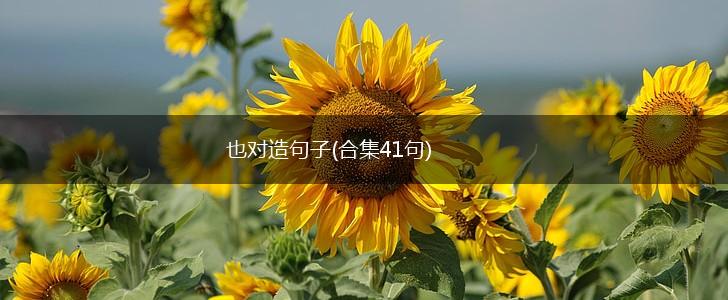 也对造句子(合集41句),第1张