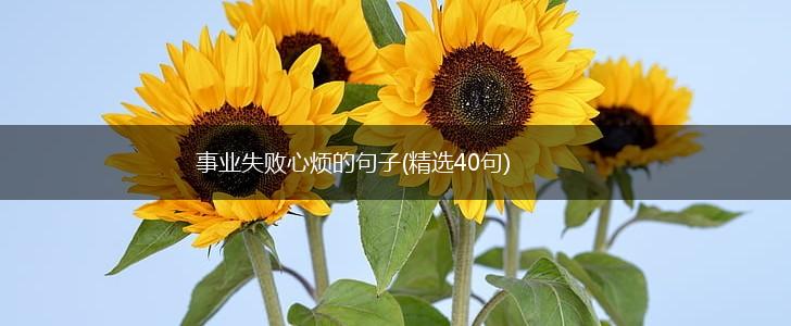 事业失败心烦的句子(精选40句),第1张
