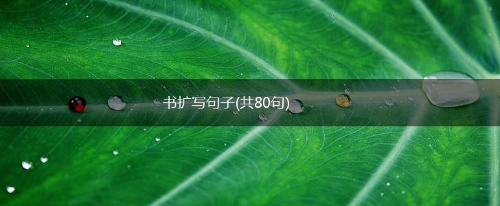 书扩写句子(共80句),第1张