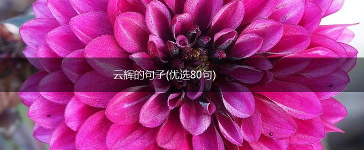 云辉的句子(优选80句),第1张