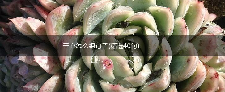 于心怎么组句子(精选40句),第1张