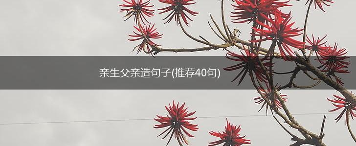 亲生父亲造句子(推荐40句),第1张
