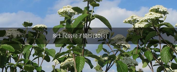 乡土民俗句子摘抄(30句),第1张