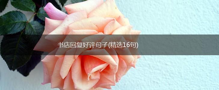 书店回复好评句子(精选16句),第1张