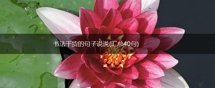 书法干货的句子说说(汇总40句),第1张