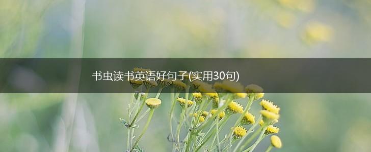 书虫读书英语好句子(实用30句),第1张