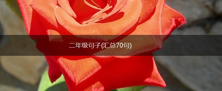 二年级句子(汇总70句),第1张