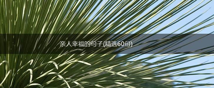 亲人幸福的句子(精选60句),第1张