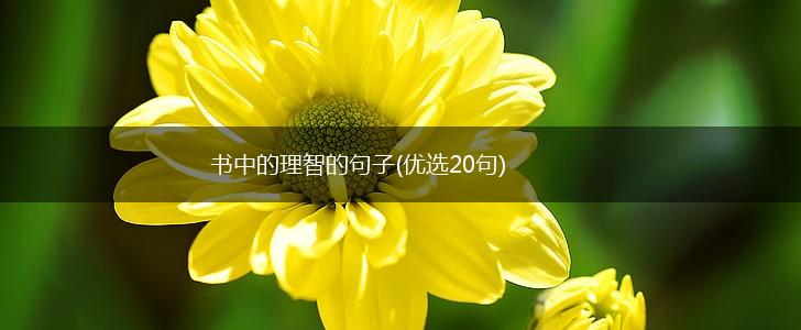 书中的理智的句子(优选20句),第1张
