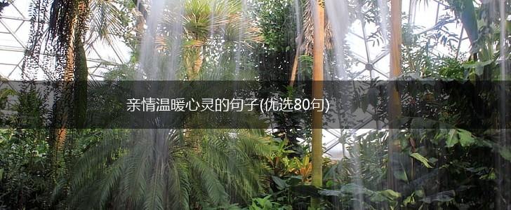 亲情温暖心灵的句子(优选80句),第1张