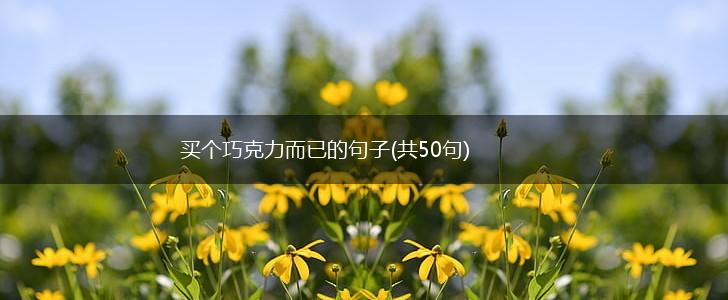买个巧克力而已的句子(共50句),第1张