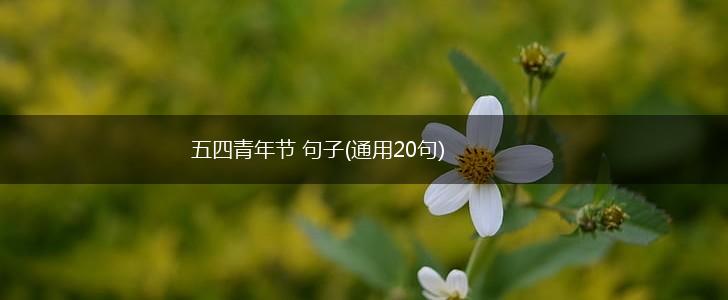 五四青年节 句子(通用20句),第1张