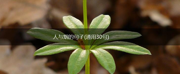 人与烟的句子(通用30句),第1张
