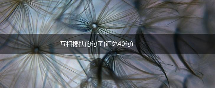 互相搀扶的句子(汇总40句),第1张