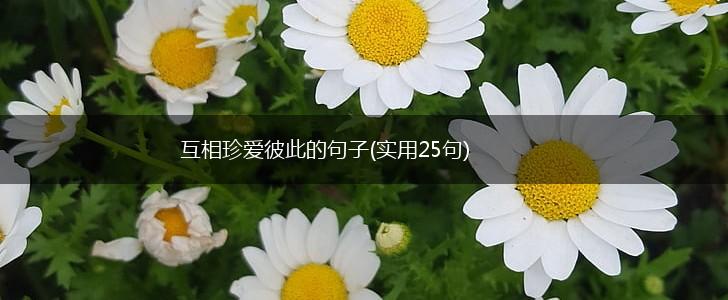 互相珍爱彼此的句子(实用25句),第1张