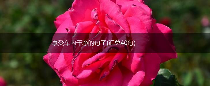 享受车内干净的句子(汇总40句),第1张