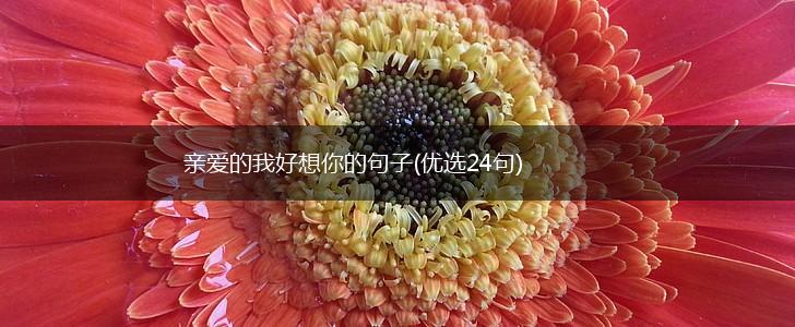 亲爱的我好想你的句子(优选24句),第1张