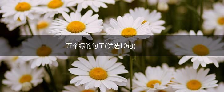 五个绿的句子(优选10句),第1张