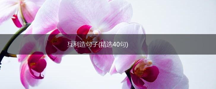 互利造句子(精选40句),第1张