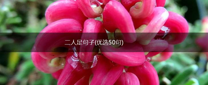 二人足句子(优选50句),第1张