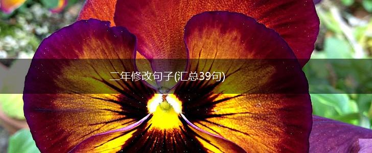 二年修改句子(汇总39句),第1张