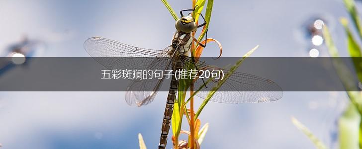 五彩斑斓的句子(推荐20句),第1张