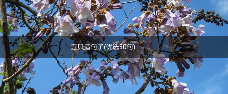 五只造句子(优选50句),第1张