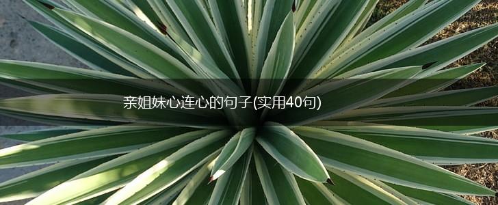 亲姐妹心连心的句子(实用40句),第1张