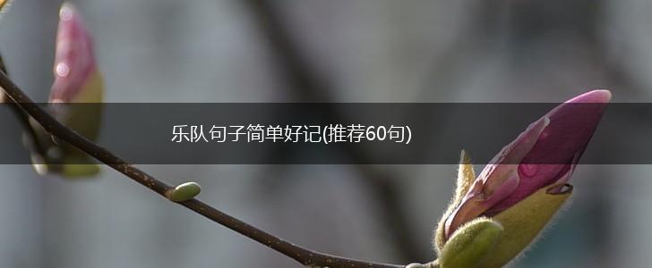 乐队句子简单好记(推荐60句),第1张