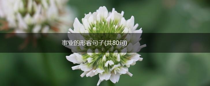 事业的形容句子(共80句),第1张